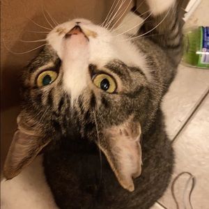 Meet your Posher, Jerry